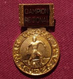 Insigna Campion Regional