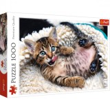 Puzzle Trefl 1000 Pisicuta Vesela