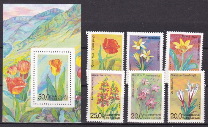 Uzbekistan 1993 flori MI 35-40 + bl.2 MNH