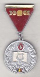 Bnk ins Insigna Festivalul National Cantarea Romaniei 1981-1983 - locul II, Romania de la 1950