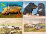 bnk cp Animale - lot 16 carti postale *
