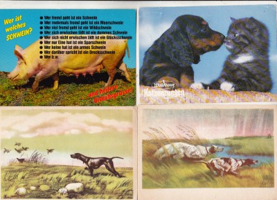 bnk cp Animale - lot 16 carti postale * foto