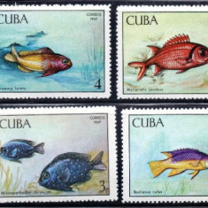 CUBA 1969, Fauna, Pesti, serie neuzata, MNH