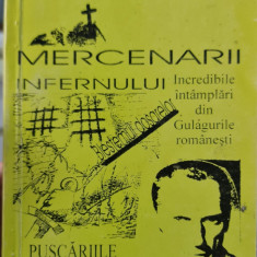 MERCENARII INFERNULUI V BLANARU FLAMURA 1999 MISCAREA LEGIONARA LEGIONAR JILAVA