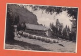 AMS @ - MUNTII APUSENI, CASA DE TURISTI DETUNATA, STANCILE DE BAZALT, CIOBAN CU OILE 1932 - NECIRCULATA, printata