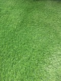 Gazon Artificial Sri Lanka, Inaltime Fir 40 mm, Latime 1m, Marime 100 x 100 cm, Verde, Antialergic, Polipropilena, Curte, Terasa, Balcon, Piscina, Loc
