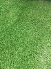 Gazon Artificial Sri Lanka, Inaltime Fir 40 mm, Latime 1m, Marime 100 x 100 cm, Verde, Antialergic, Polipropilena, Curte, Terasa, Balcon, Piscina, Loc