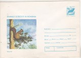 bnk ip Animale ocrotite - Veverita - necirculat - 1977