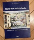 Dan Dobrescu/ Pasind intre umbrele Iasului