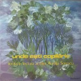 Disc vinil, LP. UNDE ESTI, COPILARIE (RECITAL IN LECTURA ACTRITEI)-AURELIA SORESCU-243300