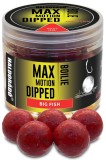 Haldorado - Boilies-uri Max Motion Boilie Dipped 20mm, 80g - Big Fish (fragute)