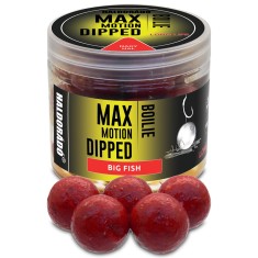 Haldorado - Boilies-uri Max Motion Boilie Dipped 20mm, 80g - Big Fish (fragute)