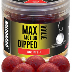 Haldorado - Boilies-uri Max Motion Boilie Dipped 20mm, 80g - Big Fish (fragute)