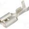 Terminal tip plat, pentru surub {{Orificiu pentru &amp;#351;urub}}, BM GROUP - BM 02149