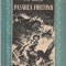 PETRU DUMITRIU - PASAREA FURTUNII