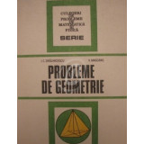 Probleme de geometrie (Ed. Tehnica)