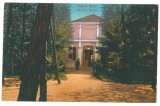 5575 - BUZIAS, Timis, Park, Romania - old postcard - used - 1916