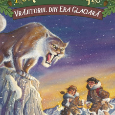 Vrăjitorul din Era Glaciară. Portalul Magic nr. 7