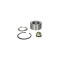 Set rulment roata RENAULT GRAND SC&iuml;&iquest;&frac12;NIC III JZ0 1 FAG 713 6309 00