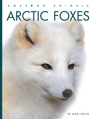 Arctic Foxes foto
