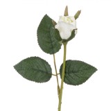 Floare Artificială, Trandafir, Tulpină Scurtă, Culoare Alb, Lungime 21cm