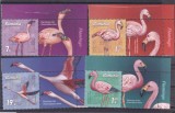 ROMANIA 2021 - FLAMINGO, CU VINIETA, MNH - LP 2336, Fauna, Nestampilat