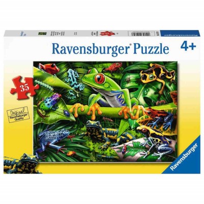 Puzzle Broscute, 35 Piese foto