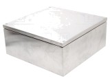 Carcasă universală RAYCHEM RPG oțel inoxidabil 380x380x161mm IP66
