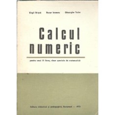 Calcul numeric - Virgil Brisca