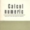 Calcul numeric - Virgil Brisca