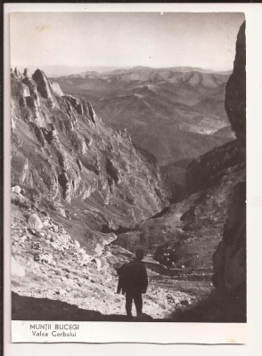 Carte Postala veche - Muntii Bucegi, Valea Cerbului , Circulata foto