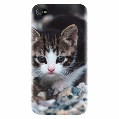 Husa silicon pentru Apple Iphone 4 / 4S, Animal Cat foto
