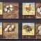 ✅RO 2023 LP 2430 &quot;Pasari de curte &quot;, serie vinieta 2 ,MNH