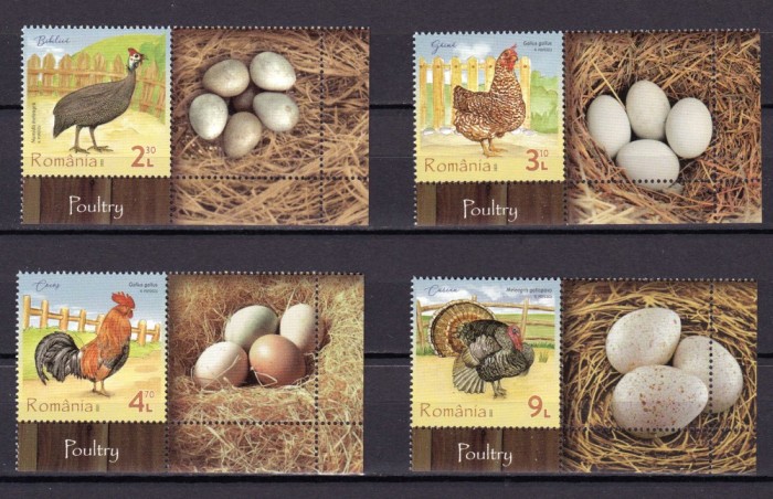 ✅RO 2023 LP 2430 &quot;Pasari de curte &quot;, serie vinieta 2 ,MNH