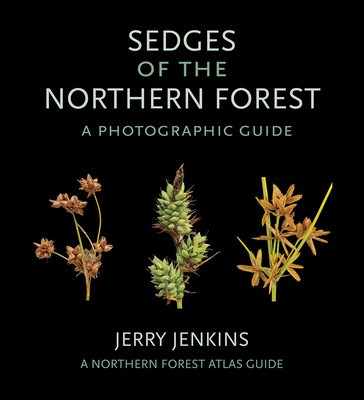 Sedges of the Northern Forest: A Photographic Guide foto