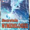 Secretele numerilogiei - Richard Craze