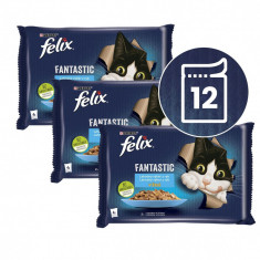 FELIX Fantastic pliculețe cu somon și plătică în gelatină 12 x 85 g