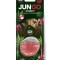 Odorizant auto K2 Jungo, Cirese