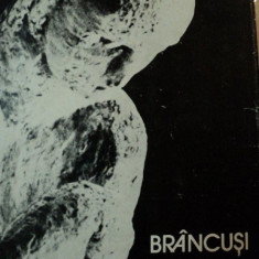 CONSTANTIN BRANCUSI, VIATA SI OPERA de IONEL JIANU, BUC.1983