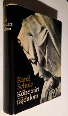 Kobe zart fajdalom. Michelangelo Buonarroti eletregenye - Karel Schulz foto