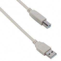 cablu USB A - B pentru imprimanta, 3 metri, alb foto