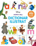 Cumpara ieftin Disney. Primul meu dictionar ilustrat