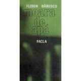 Florin Banescu - Moara de apa - 118080