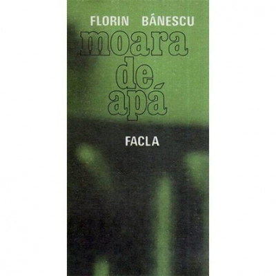 Florin Banescu - Moara de apa - 118080 foto