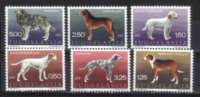 IUGOSLAVIA 1970, Fauna - Caini, serie neuzata, MNH foto