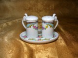 Set condimente portelan Limoges, colectie, cadou, vintage