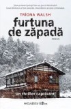 Cumpara ieftin Furtuna de zapada/Triona Walsh, Niculescu