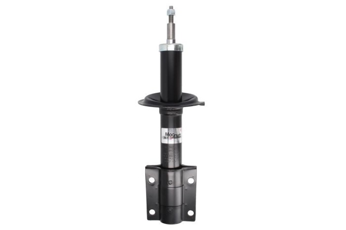 Amortizor FIAT DUCATO platou / sasiu (244) (2002 - 2016) Magnum Technology AHP042MT