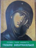 Trezire Duhovniceasca - Cuviosul Paisie Aghioritul, Schitul Lacu, 2000, Romana, 366 pagini