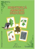 Identifica arborii padurii!